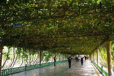 国产演艺圈乙女游戏《巴克斯的庆典》1月11日发售 原价28元